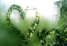 [NBA]11月27日：VS太阳 戴维斯集锦.